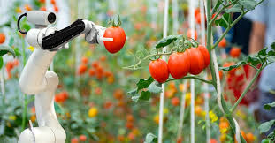 Agricultural Robot 2